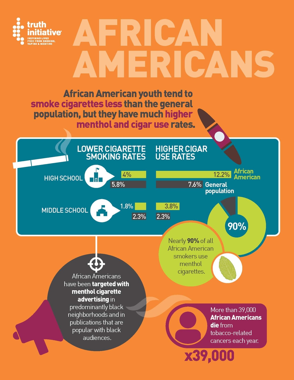 African American Fact Sheet Infographic