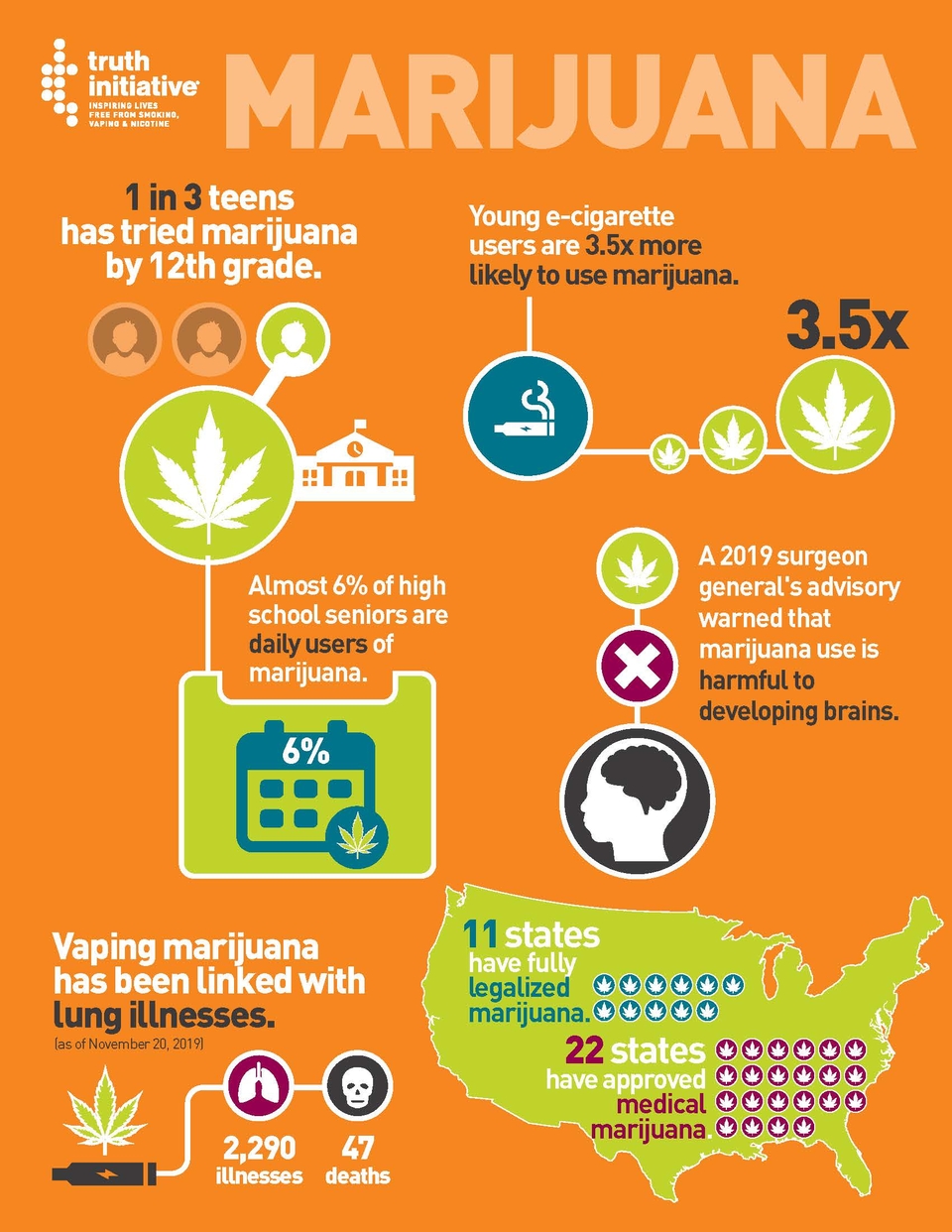 Marijuana Fact Sheet Infographic