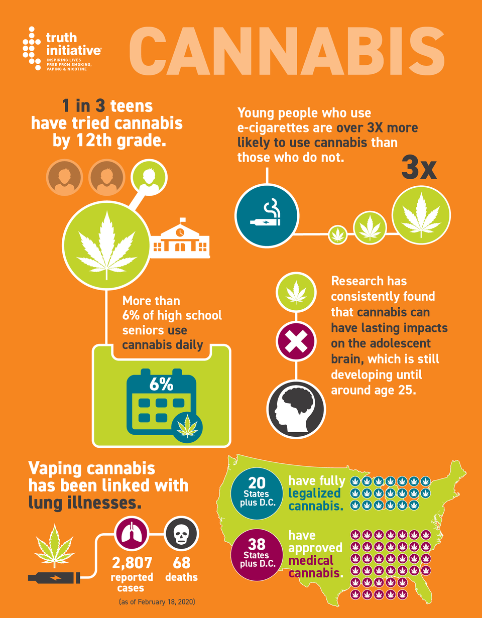 Graphic representation of cannabis facts