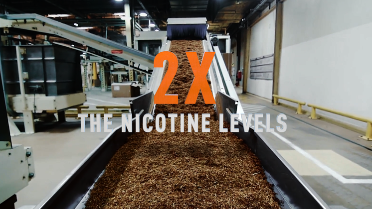 2x the nicotine levels