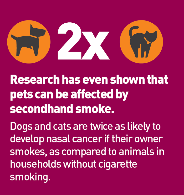 2x Research has even shown that pets can be affected by secondhand smoke