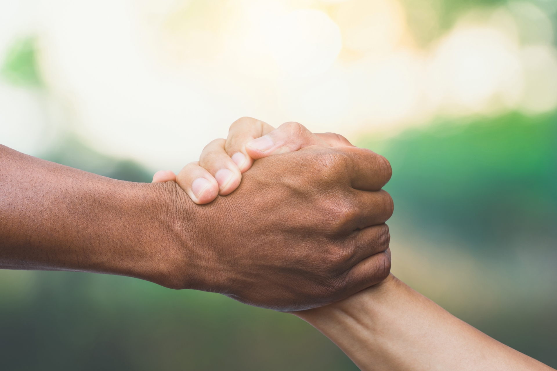 An image of two people shaking hands