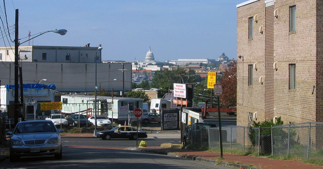 Maple view Washington DC