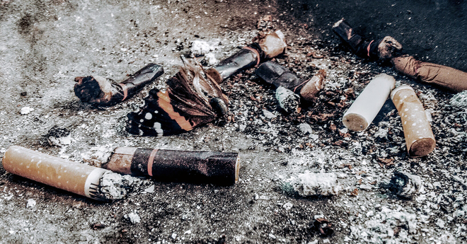 toxic cigarette butts