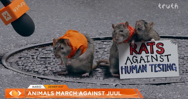 Screen shot of rats from the tested on humans ad